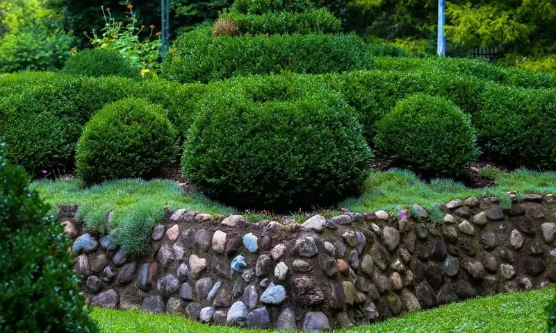 Jardines Vivos Todo el Año: La Magia de los Arbustos Perennes