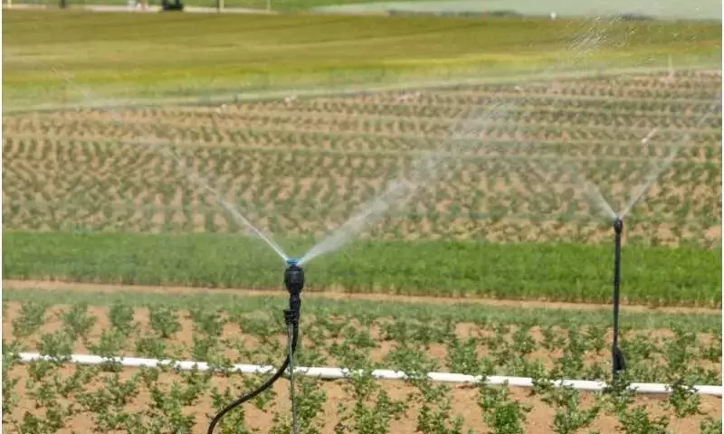 España impulsa la productividad agrícola a través de una innovadora gestión del agua