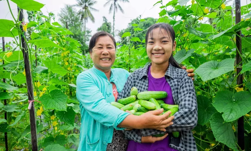 De los campos de pepino de Myanmar: Una madre cultivando el futuro de sus hijas