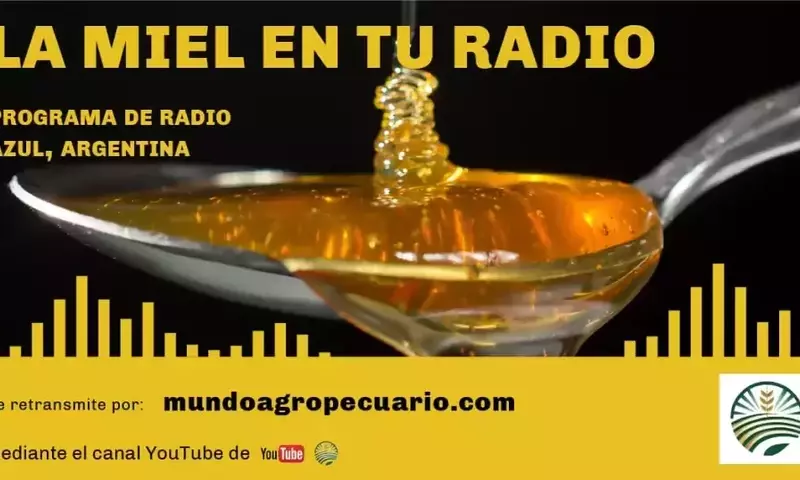 Un Vistazo al Programa Radial 'La Miel en tu Radio' del 22 de Agosto de 2026 en Mundo Agropecuario
