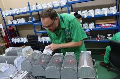 NovoFly: La Innovación Estadounidense Contra el Gusano Barrenador