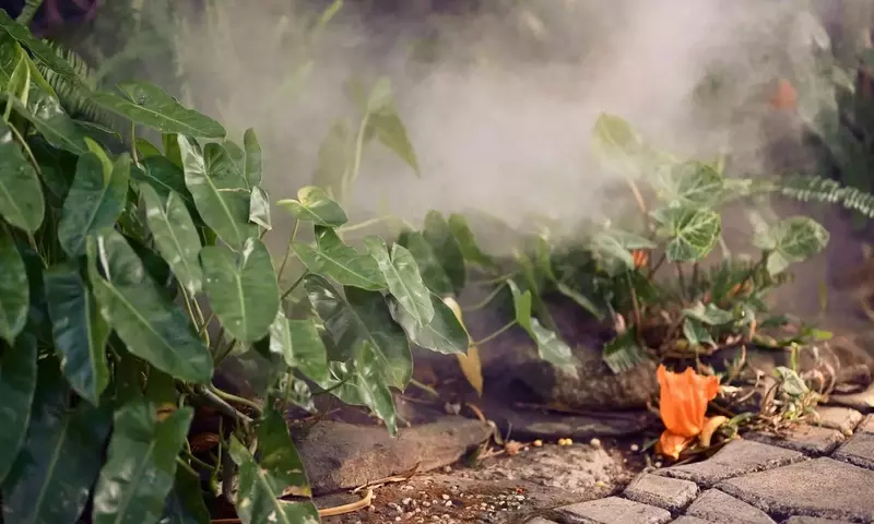 Crea tu Propio Oasis Brumoso: Guía para un Jardín de Niebla Envolvente