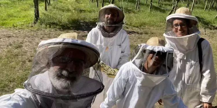 Mejora de la Polinización Agrícola a Través del Entrenamiento de Abejas con Aromas Sintéticos