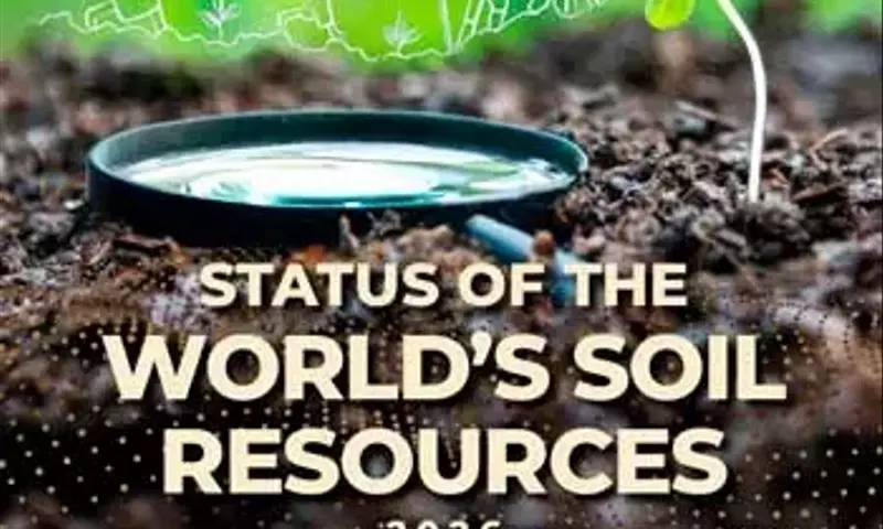 Panorama Global de los Suelos: Evaluación Crítica y Estrategias Sostenibles para 2026