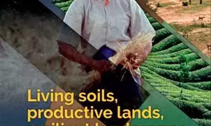 Guía Integral para la Gestión Sostenible de Suelos Agrícolas y su Restauración