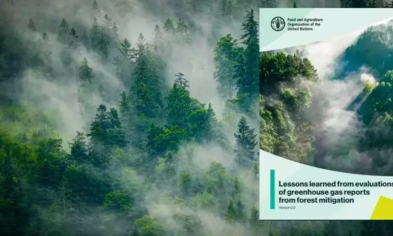 Evaluación de Informes de Gases de Efecto Invernadero en el Sector Forestal: Un Análisis Comparativo