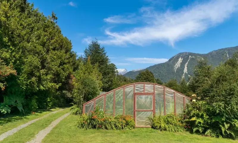 Cultivando sin Estaciones: El Arte de los Microclimas en el Jardín
