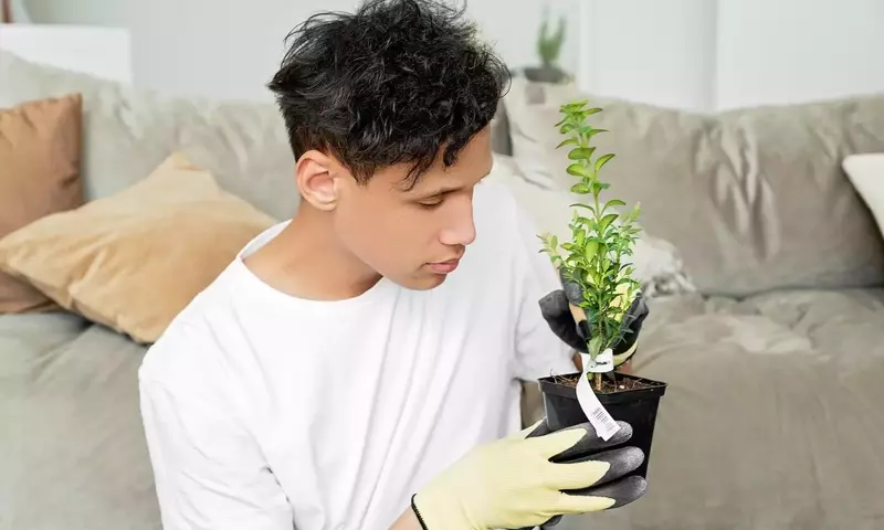 Descifrando el Lenguaje Silencioso de tus Plantas: Una Guía Integral para su Bienestar