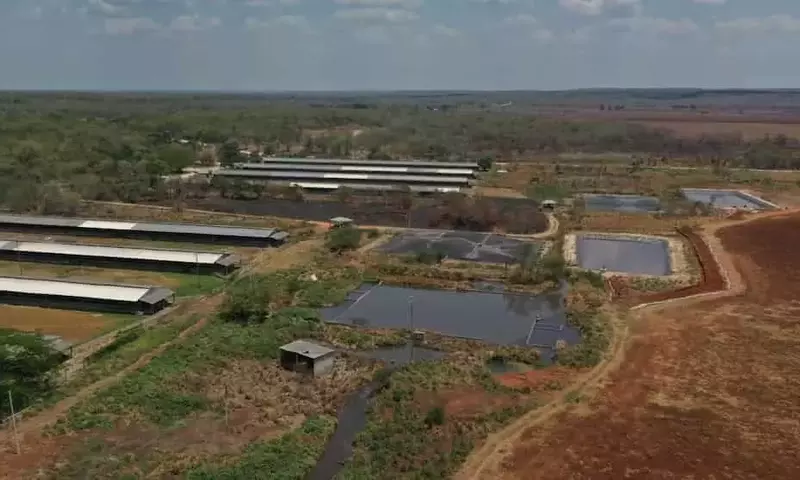 La Suprema Corte de México Ampara a Comunidades Mayas para Proteger su Agua de Plaguicidas