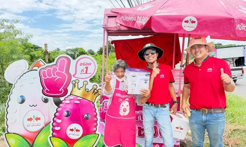 Mejorando la vida de los agricultores: East West Seed conecta a los productores de maíz ceroso "Niew Whan Chom Poo" con el mercado tailandés