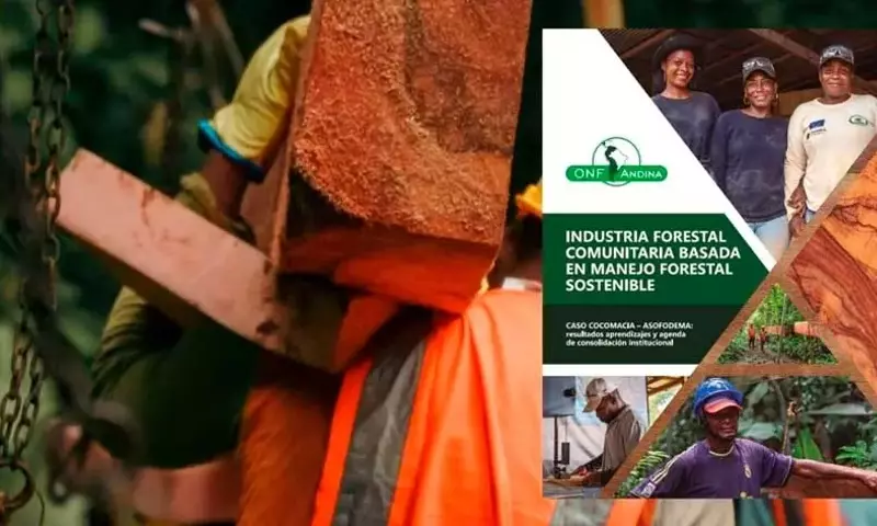 Innovación Forestal Comunitaria en el Atrato: Sostenibilidad y Progreso