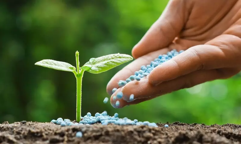 Primeras ayudas para fertilizantes en España: Un alivio para el sector agrario ante la crisis