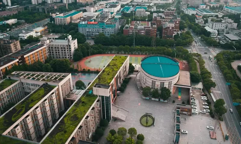 Techos Verdes Urbanos: Una Guía Completa para Transformar Ciudades en Oasis Sostenibles