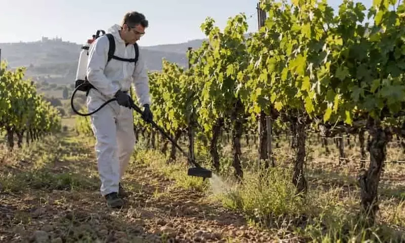 La Unión Europea Aprueba la Continuidad del Ácido Pelargónico como Herbicida hasta 2041