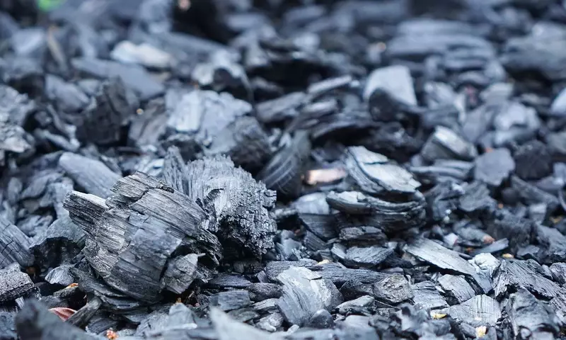 Biochar: El Secreto Ancestral para Suelos Fértiles y Resilientes