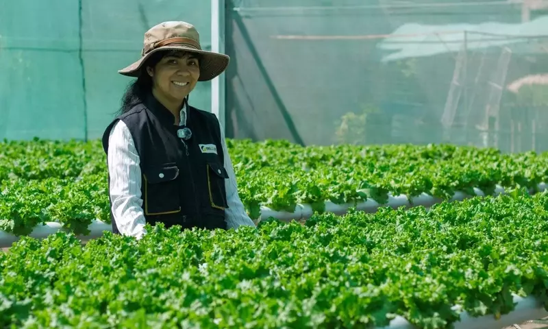 Mendoza Impulsa la Hidroponía con un Centro de Innovación