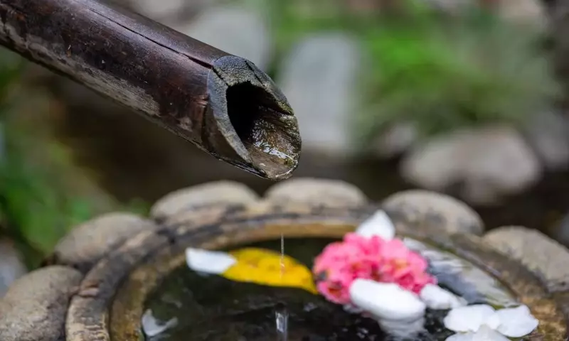 Diseñando Jardines Sensoriales: Una Guía Completa del Paisajismo Sonoro