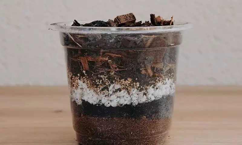 Plantil World: Innovación en Sustratos y Sistema de Riego para Plantas Tropicales