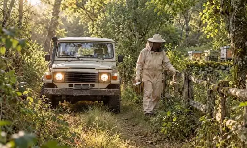 La Dulzura Natural de Galicia: Un Viaje Apícola entre Robles y Castaños