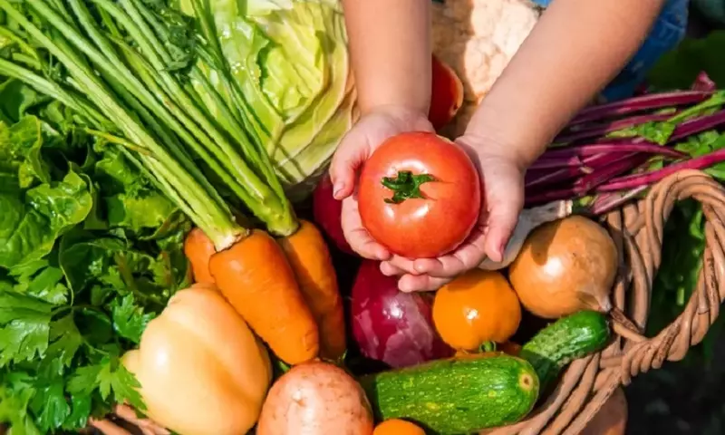 Guía Definitiva para el Cultivo de Hortalizas de Raíz en Otoño e Invierno