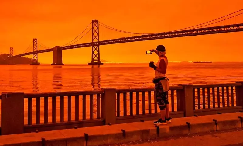 El Impacto Económico del Humo de Incendios Forestales: Un Análisis Profundo