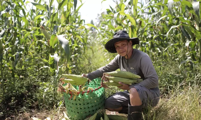 De jornalero a líder agrícola: La inspiradora trayectoria de Rubisper Udal