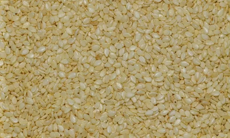 Sésamo: El Pequeño Gigante de la Nutrición para tu Salud