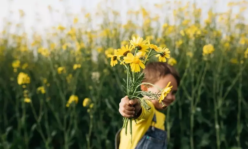 Flores Amarillas el 21 de Septiembre: Un Fenómeno Cultural Inspirado en 'Floricienta'