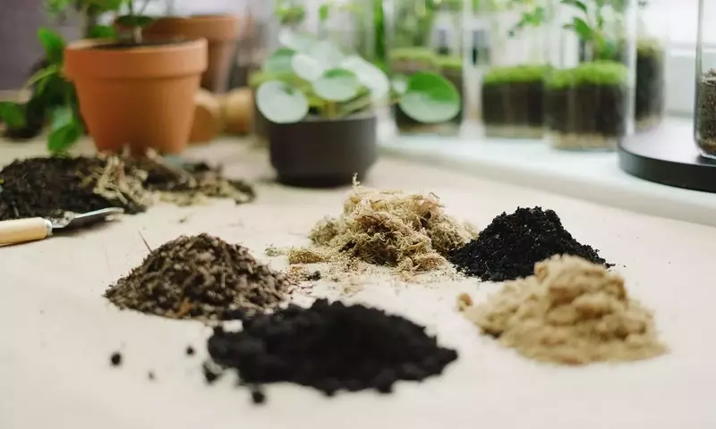 Revitaliza el Sustrato de tus Plantas: Una Guía Completa para un Jardín Saludable