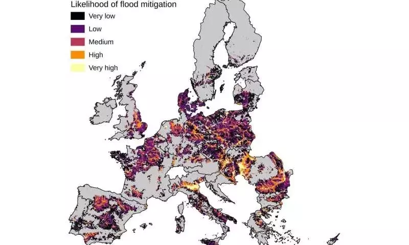 Forrajes y Trébol: Una Alternativa Proteica Sostenible para Europa