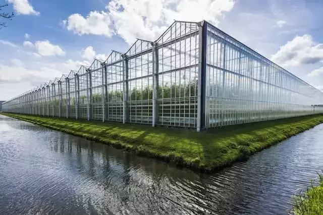 Invernaderos: Integración Territorial para Optimizar Recursos Agrícolas