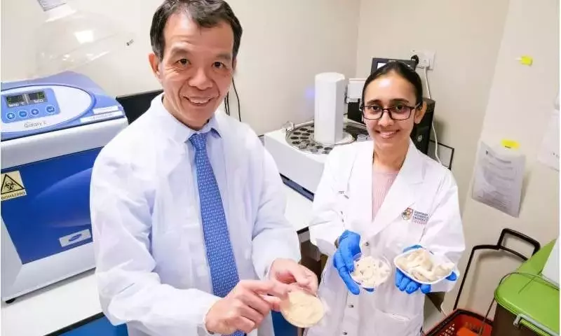 Hongos: el futuro del valor nutricional de la soja