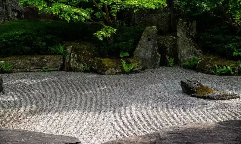 Jardinería Tranquila: Creando Oasis de Calma y Bienestar en Casa