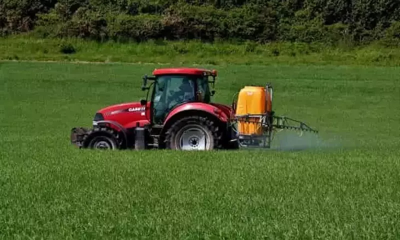 Fertilizante multinutriente impulsa el rendimiento del maíz de secano