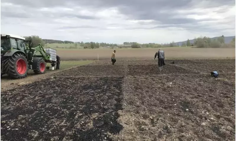 La Influencia del Cultivar en la Calidad del Biocarbón Agrícola