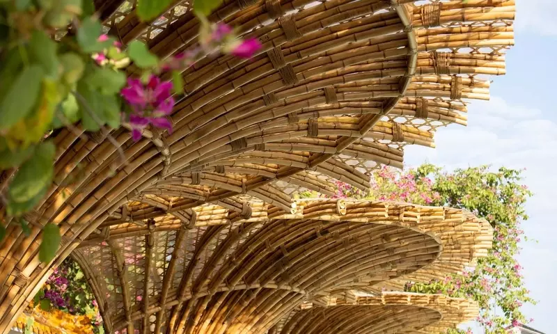 Exposición de Arte Oriental: Bambú y Jardín en Madrid