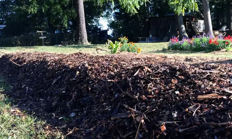 Revolucione Su Jardín: La Técnica Sheet Mulching para un Suelo Fértil sin Esfuerzo
