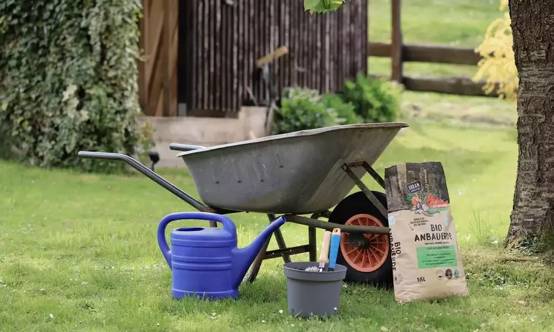 Guía Integral para la Fertilización de Plantas en Invierno y al Final de la Estación Fría