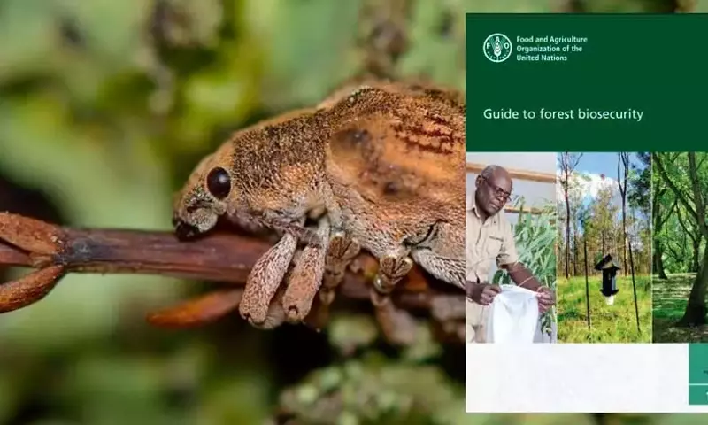 Guía Integral para la Bioseguridad Forestal Global