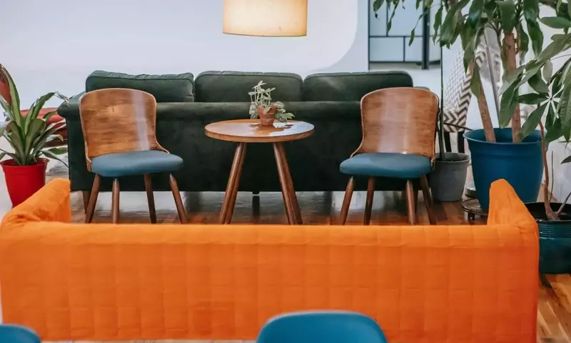 Diseño Biofílico: Creando un Santuario Natural en Casa