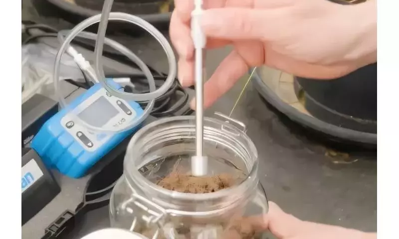 El aroma del suelo como indicador de su vitalidad microbiana