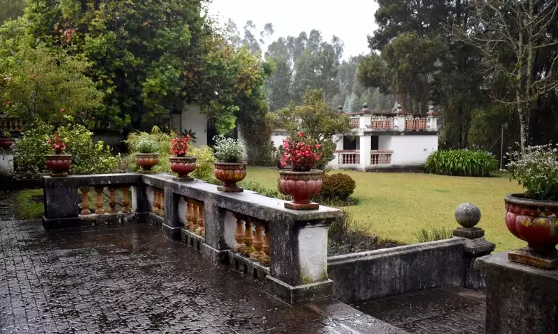 El Enigmático Perfume de la Tierra Mojada: Desvelando el Petricor