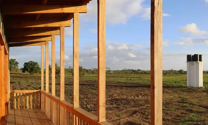 El Bambú: Un Pilar para la Sostenibilidad y la Resiliencia en América Latina