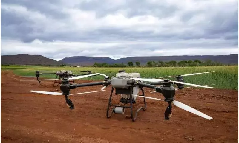 Optimización del Riego con Sensores para Tomates y Uvas: Un Estudio Innovador en Italia