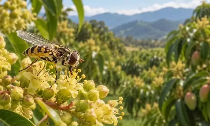 Moscas Polinizadoras: Un Vistazo Ampliado a su Rol en la Agricultura Colombiana