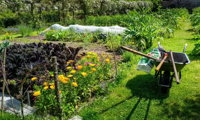 Maximizando el potencial de tu huerto urbano: Estrategias de cultivo en espacios reducidos