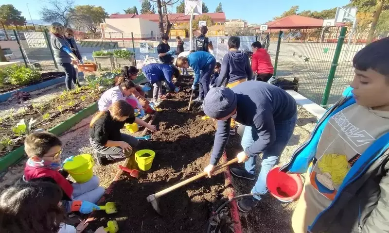 Iniciativas en Fomento de Huertos Escolares Ecológicos: Convocatorias, Apoyos y Biodiversidad