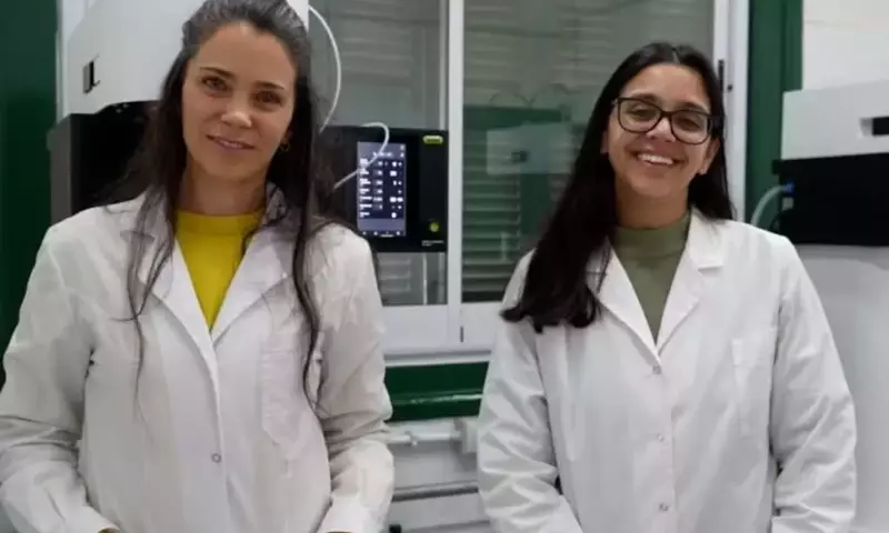 Transformación de Miel: Córdoba Lidera la Innovación Apícola con Miel en Polvo