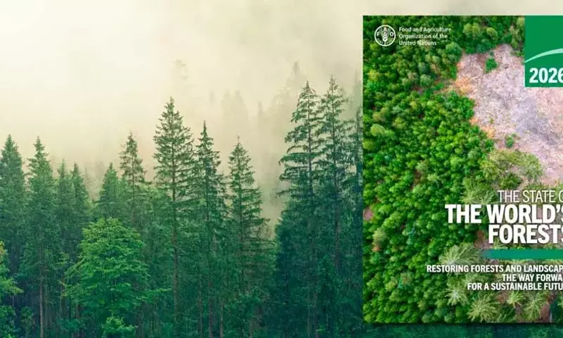 La Restauración Forestal: Una Inversión Crucial para el Futuro Sostenible