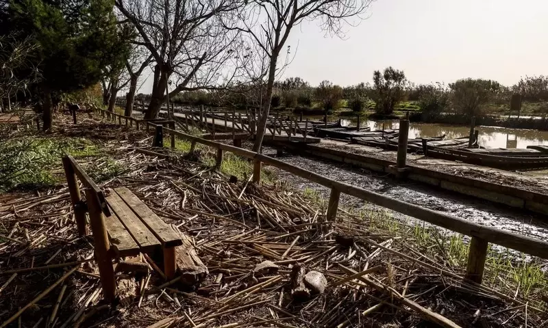 Campaña Nacional para un Entorno Urbano Más Verde